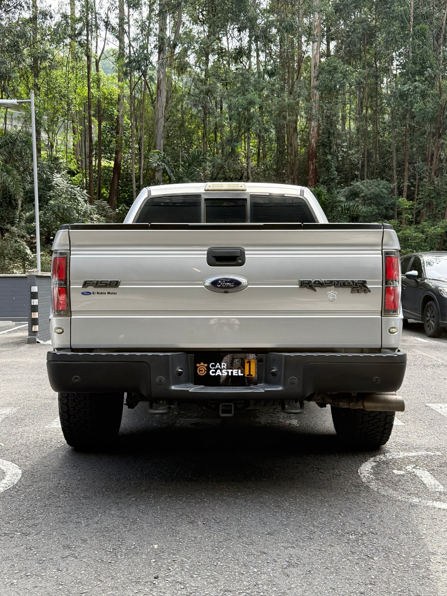 2014 - CAMIONETA FORD F150 RAPTOR 4X4 SVT AUT 6,2L