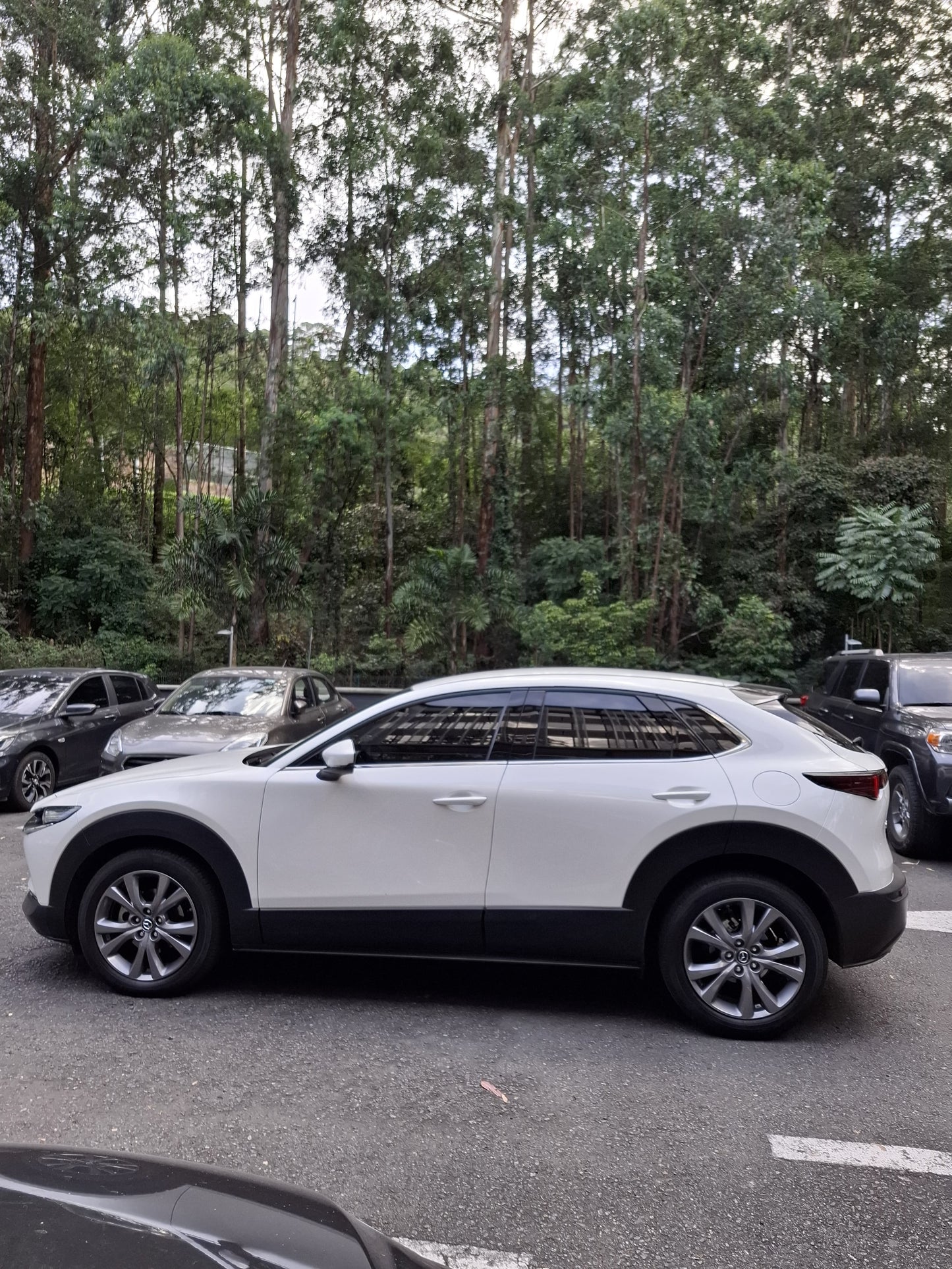 2025 - MAZDA CX30 TOURING 2.0 4X2 At
