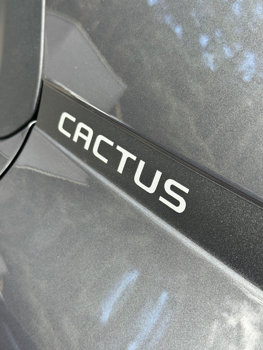 2021 - CITROEN C4 CACTUS SHINE AT