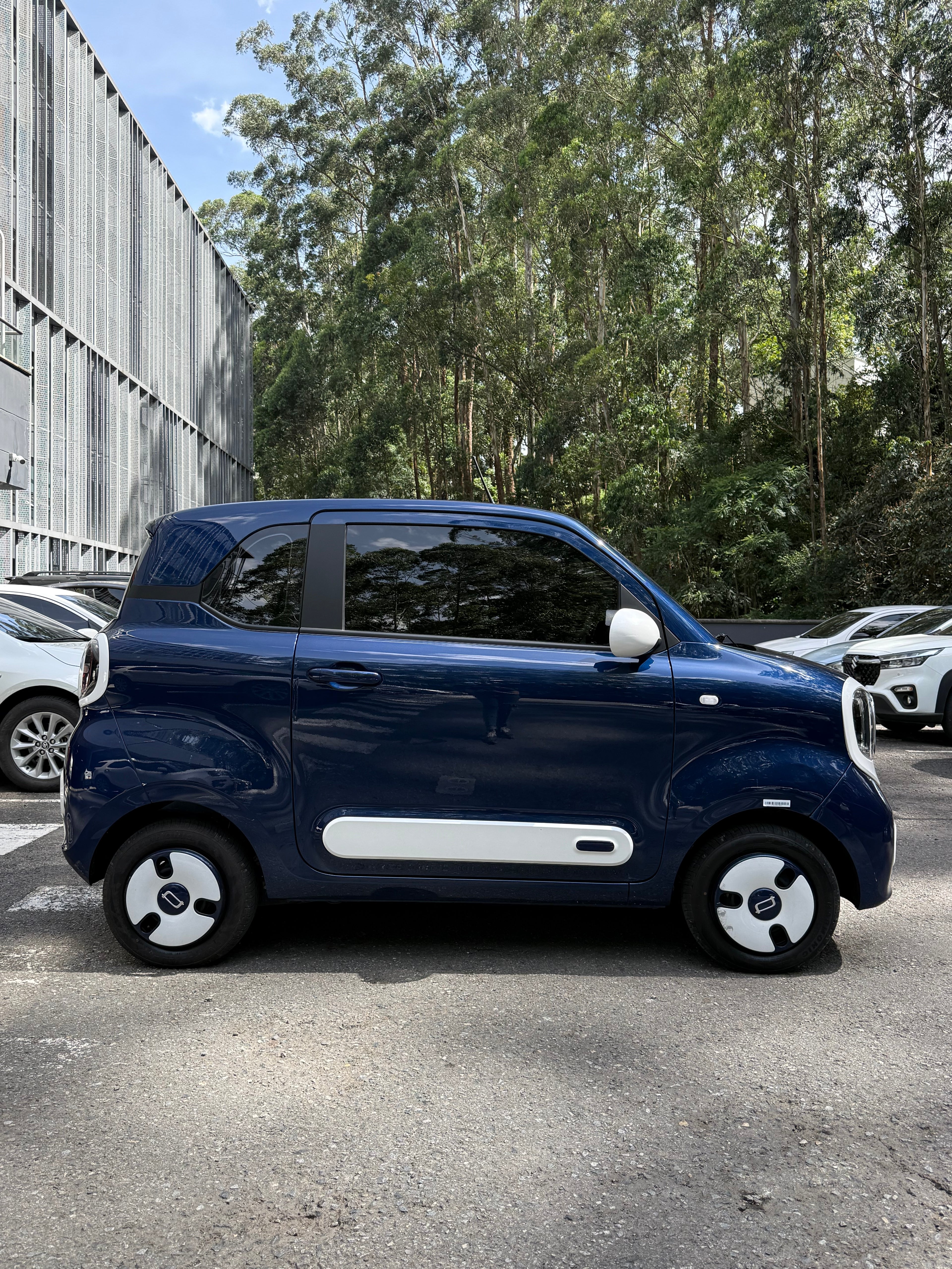 2025 - FAW BESTUNE XIAOMA
